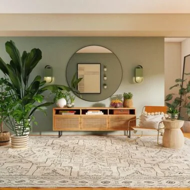 Top 10 Indoor Plants For Home